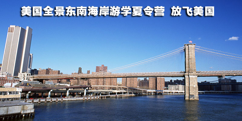 2017궬Ӫ