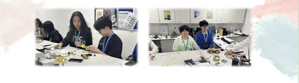 2025Ӣ������Ӫ