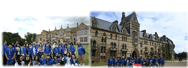 2025Ӣ������Ӫ