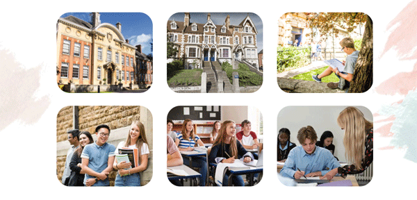 2024Ӣ������Ӫ