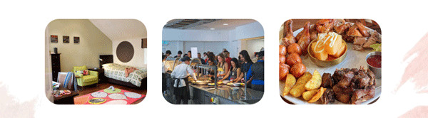 2024Ӣ������Ӫ