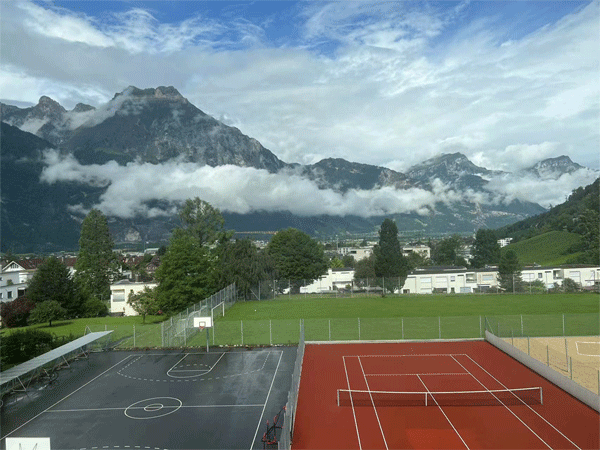 2025Ӣ������Ӫ