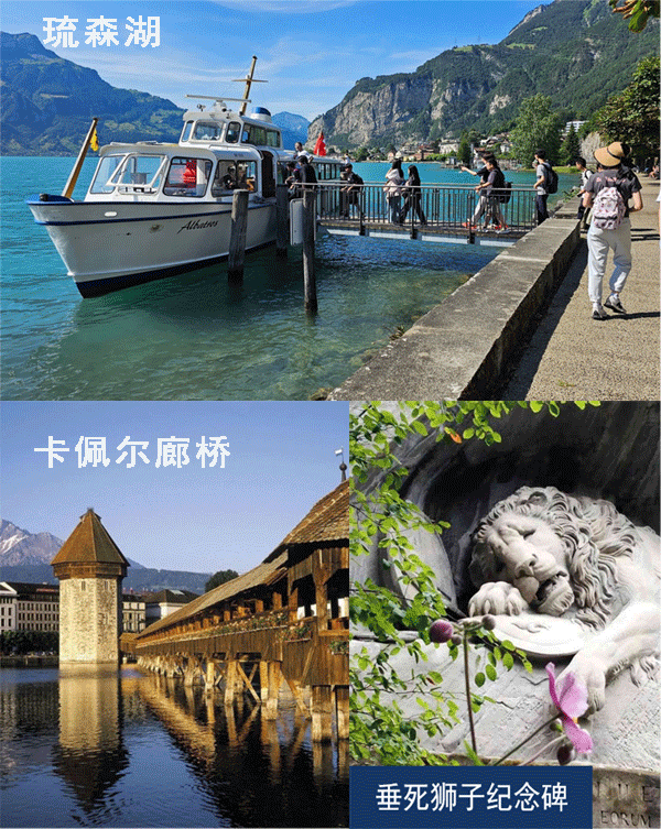 2024Ӣ������Ӫ