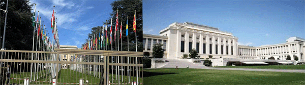 2024Ӣ������Ӫ