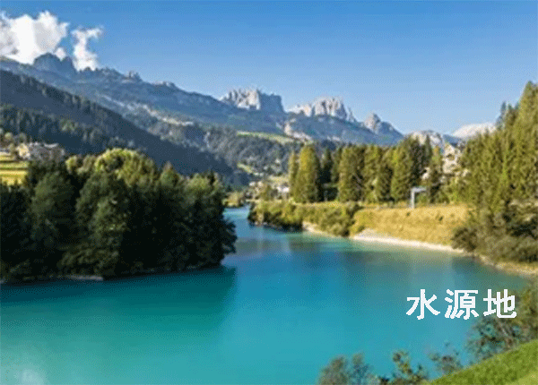 2024Ӣ������Ӫ