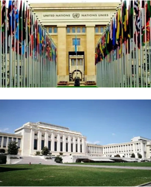 2024Ӣ������Ӫ