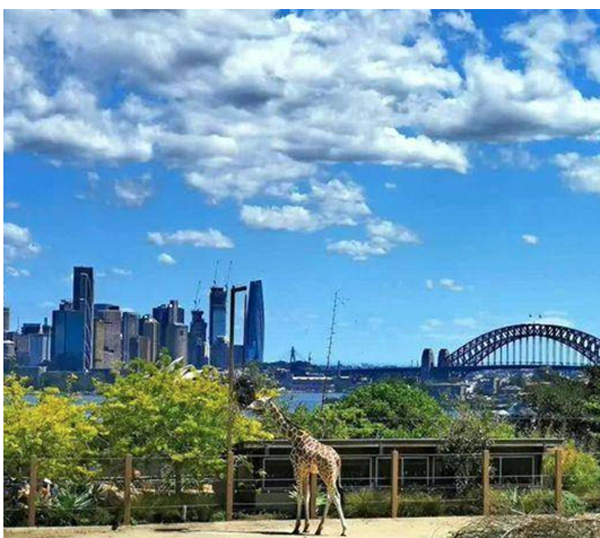 2024Ӣ������Ӫ