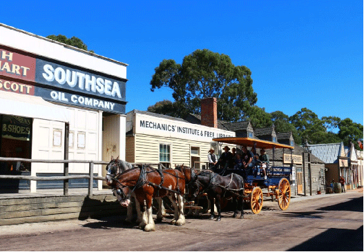 2024Ӣ������Ӫ