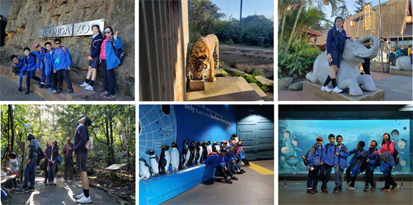 2024Ӣ������Ӫ