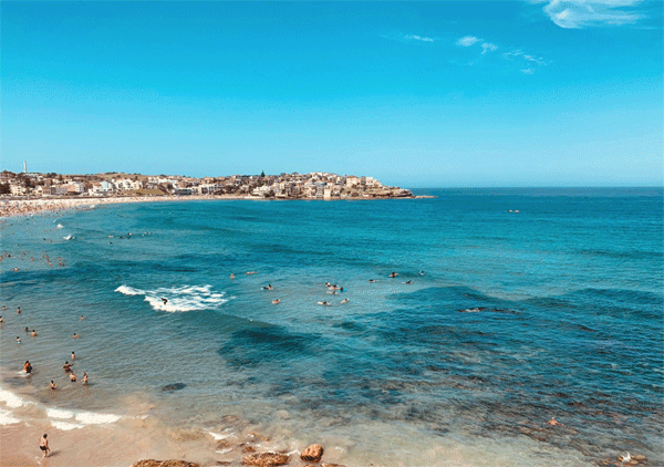 2024Ӣ������Ӫ