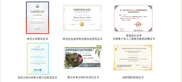 2024Ӣ������Ӫ