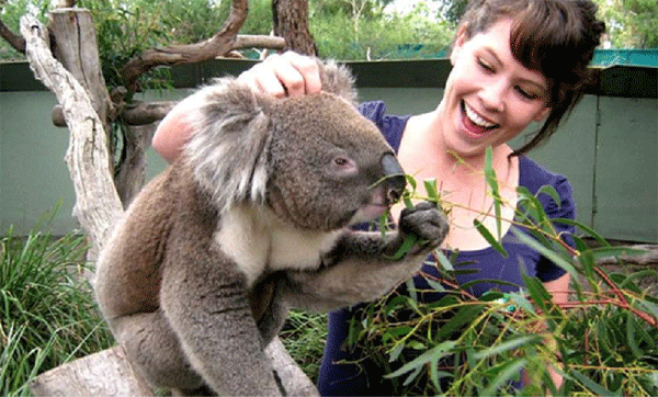 2024Ӣ������Ӫ