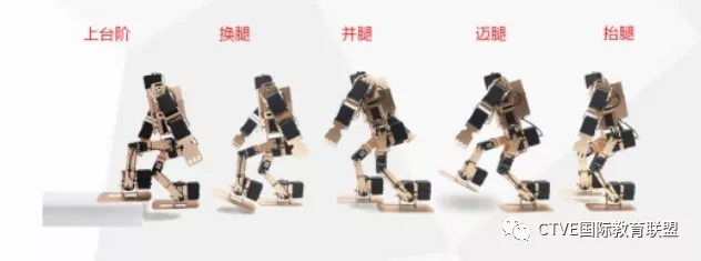 �ۺ���������