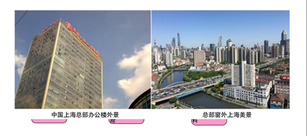 2024Ӣ��STEM����Ӫ